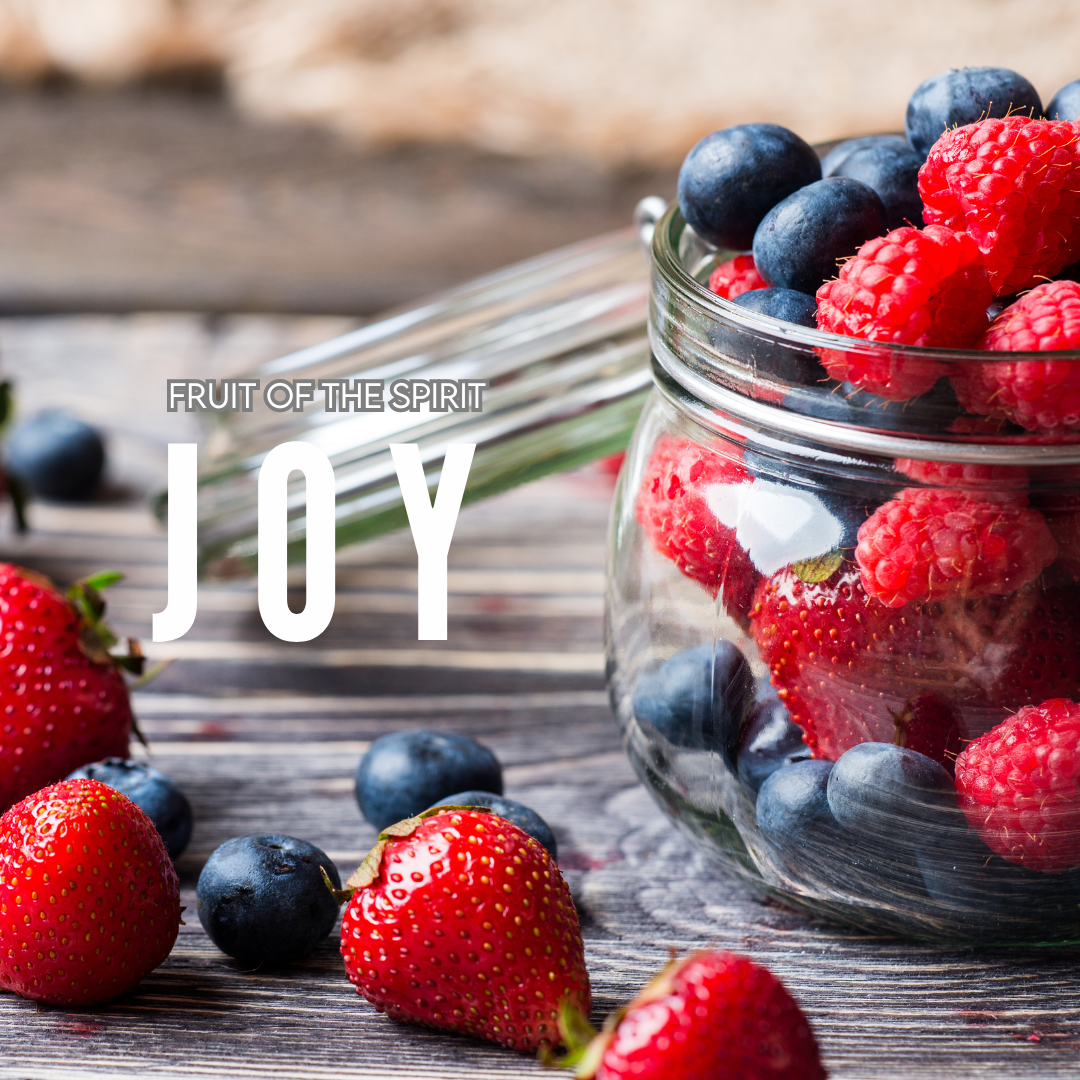 Fruit of the Spirit – JOY