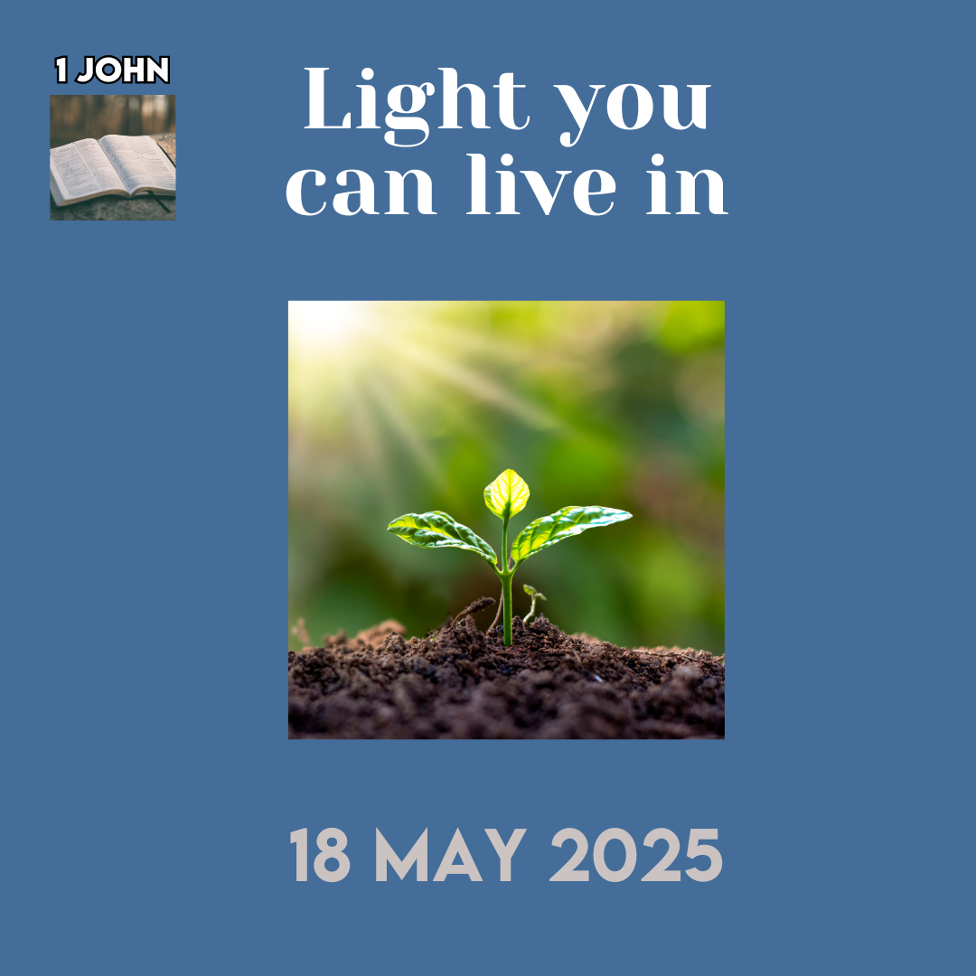 Light you can live in