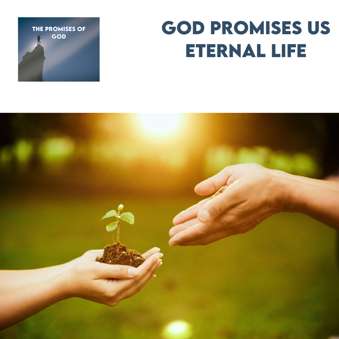 God promises us eternal life
