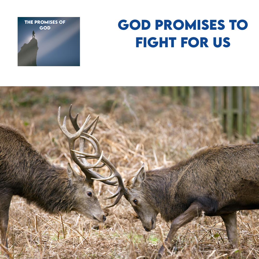 God promises to fight for us