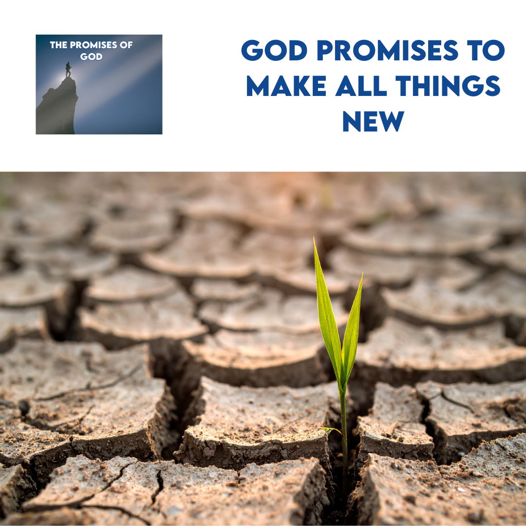 God promises to make all things new